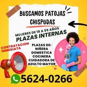 contrato empleada domestica interna
